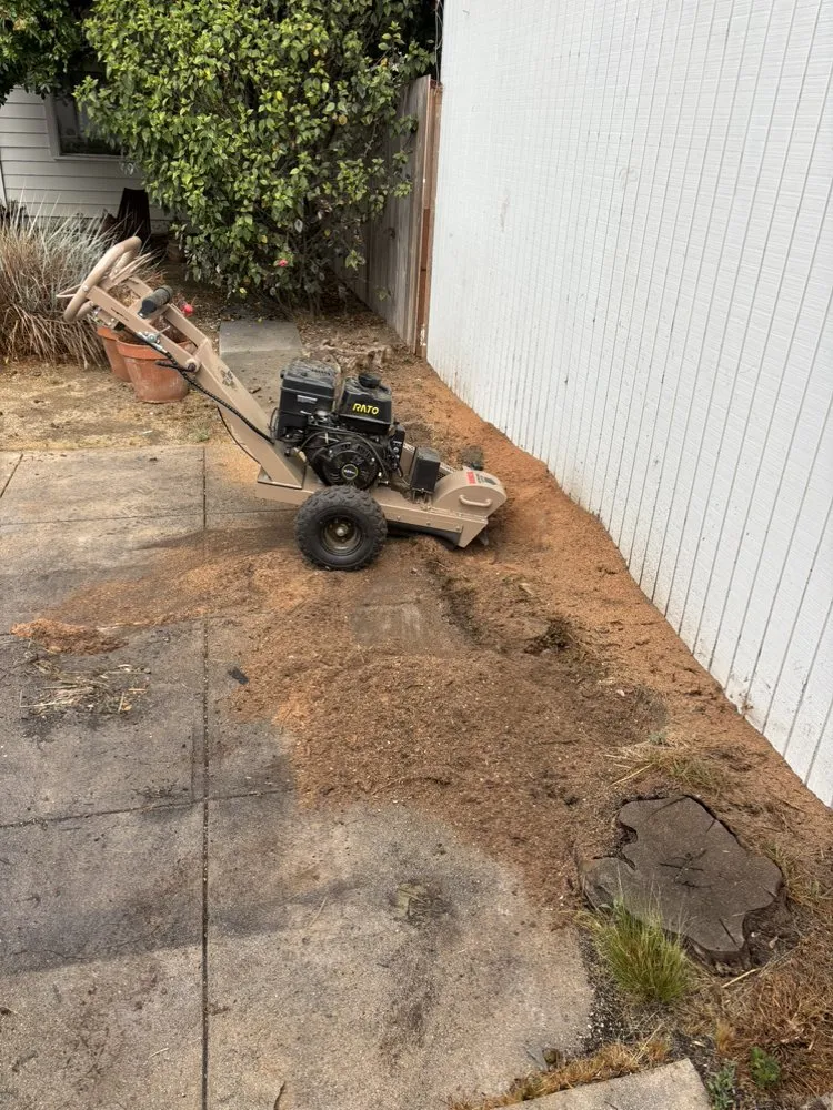 Trusted yard cleanup service near you across Los Angeles, CA - Green Maintenance Landscape and Tree Trimming Service