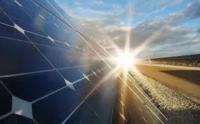 Affordable lawn care service for outdoor upgrades in Martinez, CA by Green Mama Landscapes