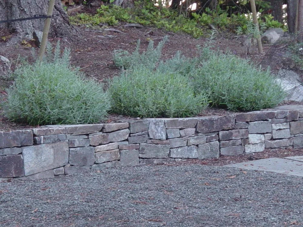 Expert outdoor landscaping for outdoor upgrades across Friday Harbor, WA - Green Man Landscape & Design