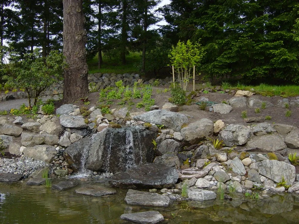 Local yard maintenance in Friday Harbor, WA - Green Man Landscape & Design