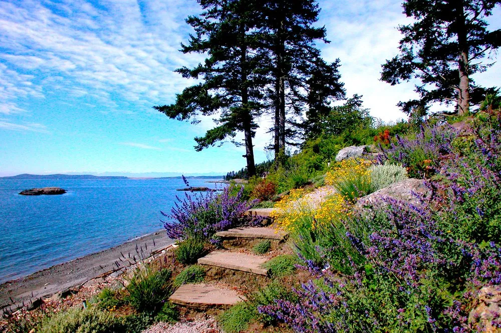 Local lawn care service experts serving Friday Harbor, WA - Green Man Landscape & Design