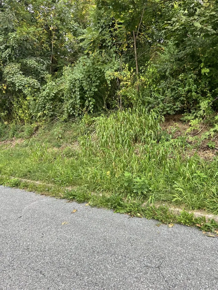 Professional lawn care service for beautiful yards across Harrisburg, PA - Green Man Landscaping