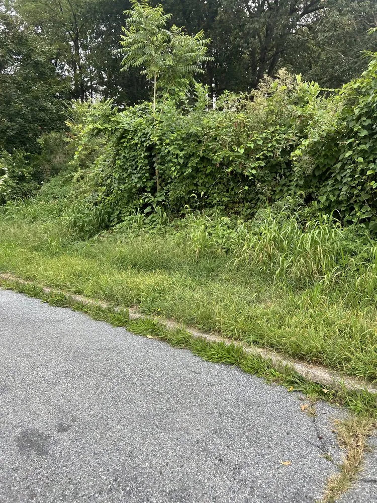 Expert landscape installation in Harrisburg, PA by Green Man Landscaping