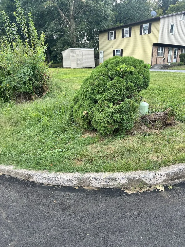 Local yard cleanup service for beautiful yards across Harrisburg, PA - Green Man Landscaping