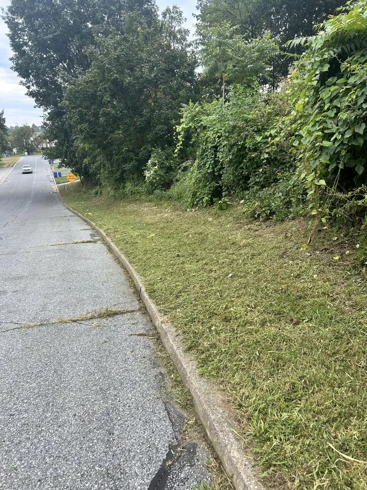 Trusted yard maintenance in Harrisburg, PA by Green Man Landscaping