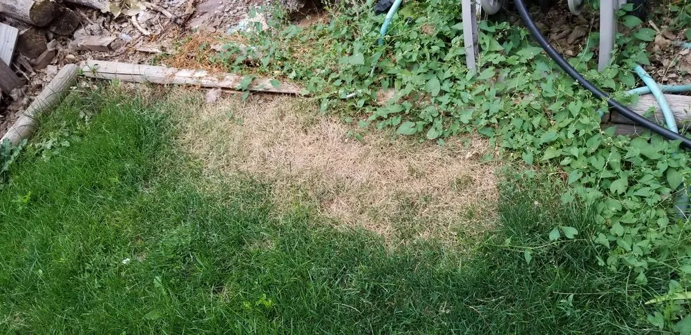 Local landscape installation for year-round maintenance in Fort Collins, CO by Green Man Lawn Care