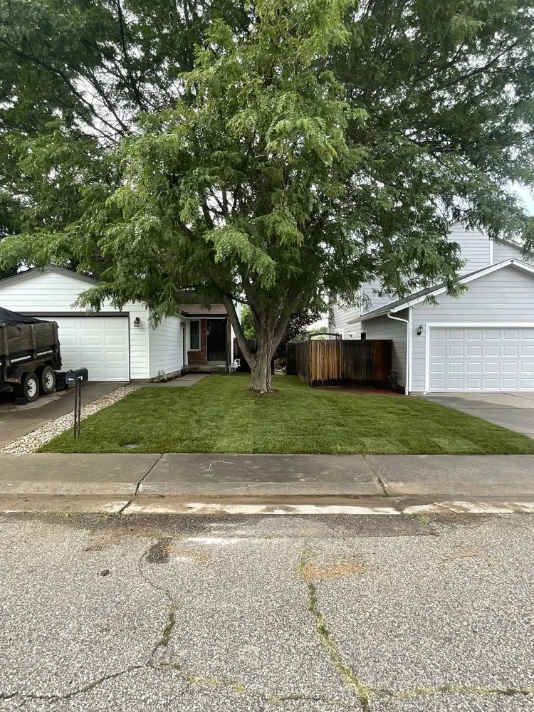 Professional yard cleanup service experts serving Fort Collins, CO - Green Man Lawn Care