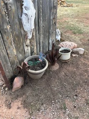 Green Man Lawn Care Logo