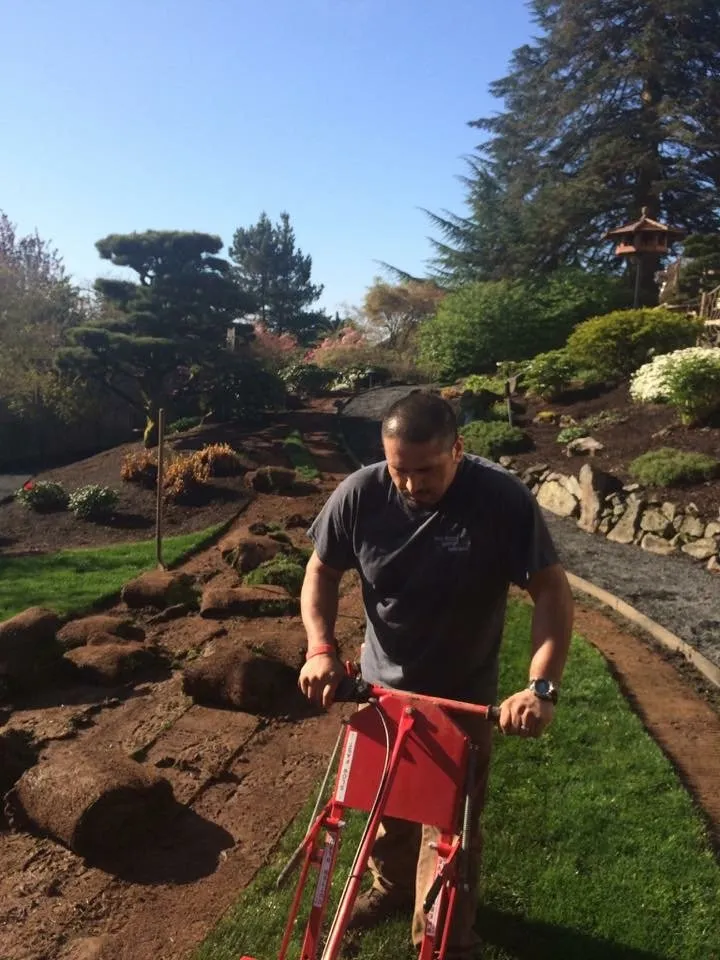 Local lawn mowing service experts serving Gladstone, OR - Green Maple Landscape Maintenance