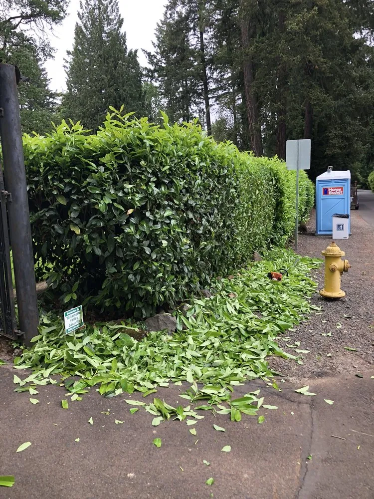 Local residential landscaping in Gladstone, OR - Green Maple Landscape Maintenance