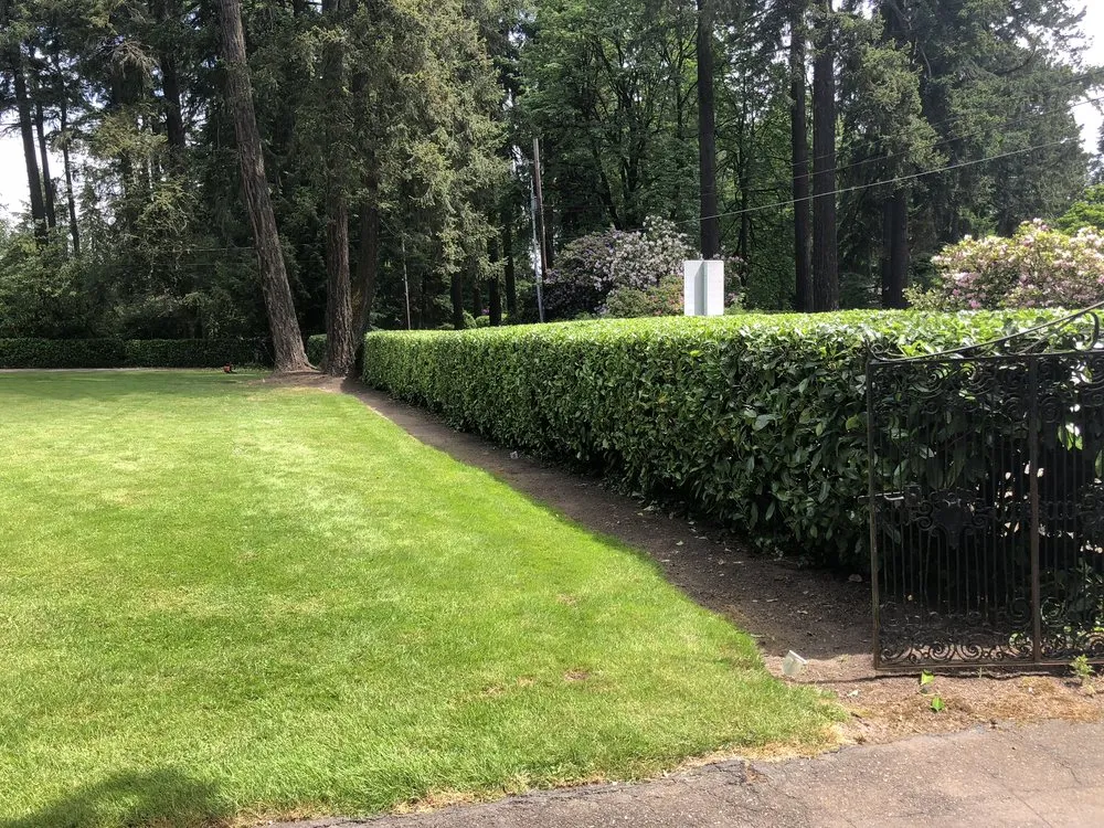 Professional yard cleanup service in Gladstone, OR by Green Maple Landscape Maintenance