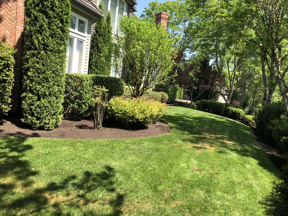 Expert yard cleanup service for beautiful yards in Gladstone, OR by Green Maple Landscape Maintenance