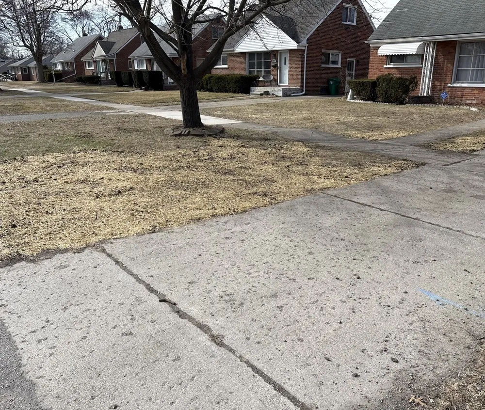 Top-rated yard maintenance in Inkster, MI by Green Maples Lawn And Landscape