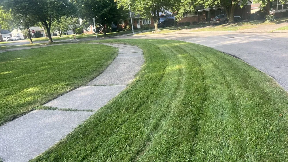 Trusted lawn care service in Inkster, MI - Green Maples Lawn And Landscape