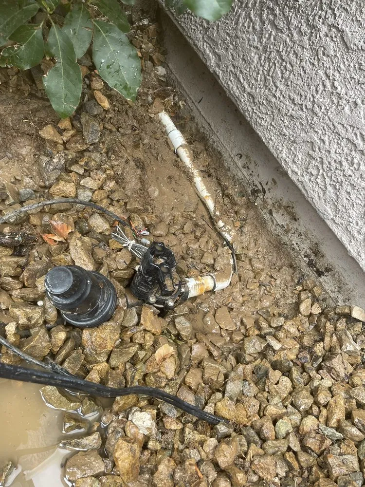 Professional residential landscaping for beautiful yards across Las Vegas, NV - Green Master Landscaping