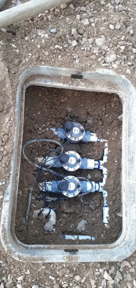 Professional yard cleanup service experts serving Las Vegas, NV - Green Master Landscaping