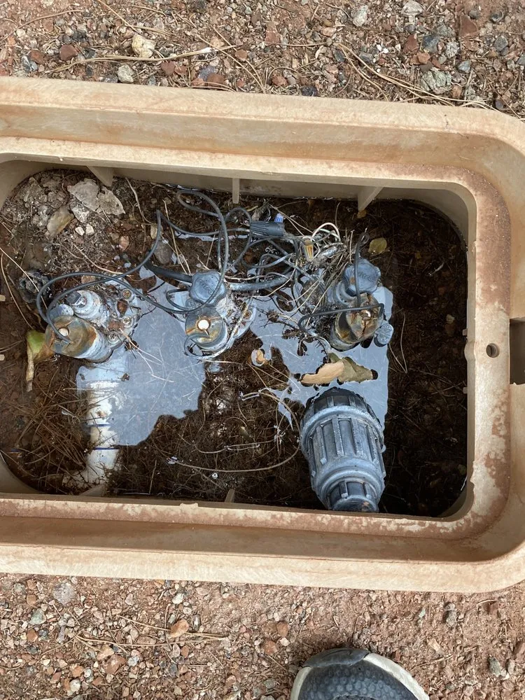 Top-rated landscaping services in Las Vegas, NV by Green Master Landscaping