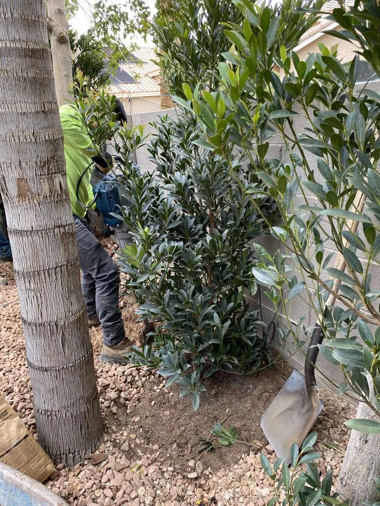 Affordable landscape installation in Las Vegas, NV - Green Master Landscaping