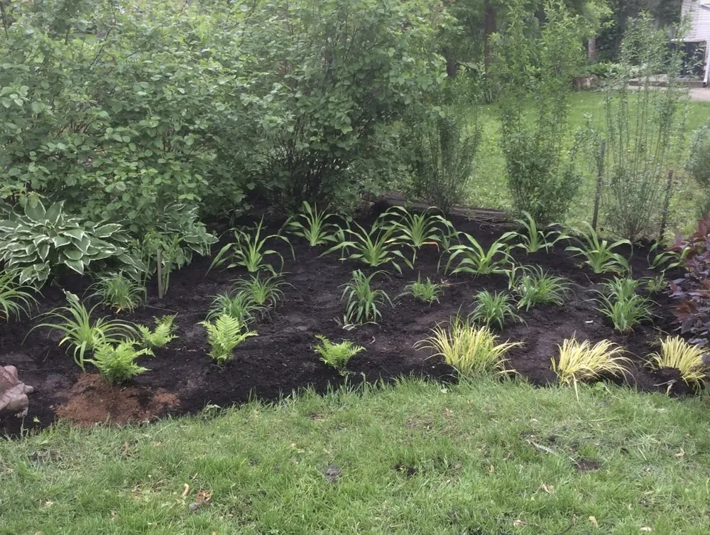 Reliable landscaping services for homes in Des Plaines, IL by Green Master Turf Inc