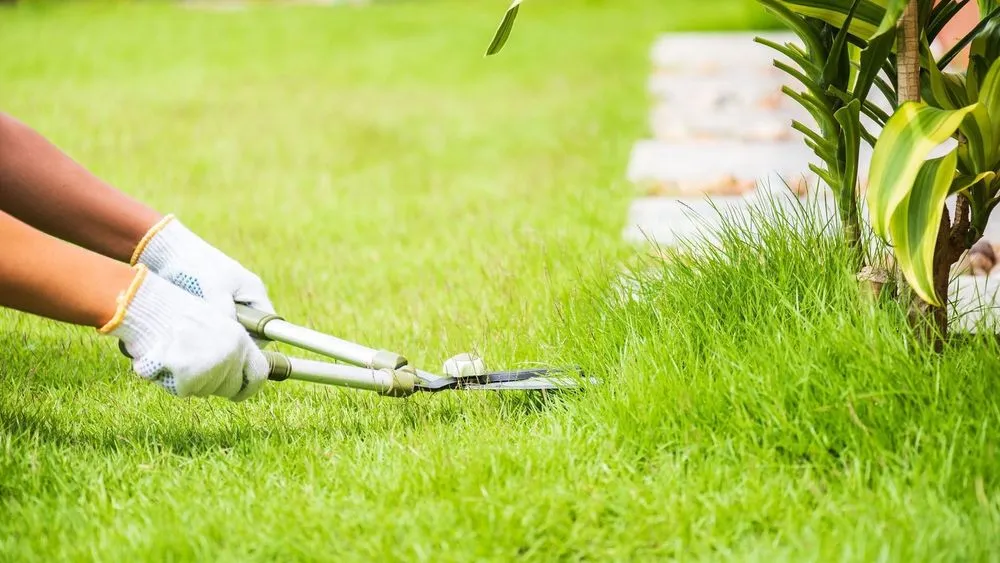 Trusted yard cleanup service in Verona, WI - Green Masters Landscape