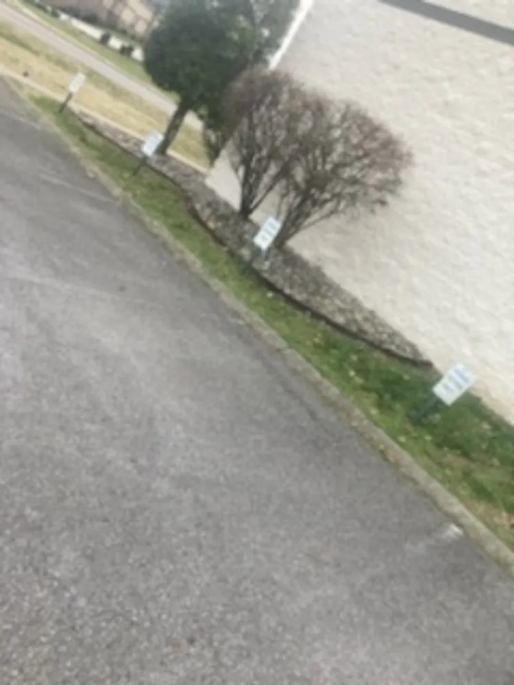 Top-rated landscaping services experts serving Nashville, TN - Green Matters Landscaping