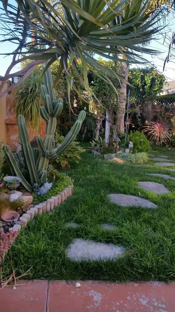 Top-rated landscape installation in Oxnard, CA by Green Max Landscape