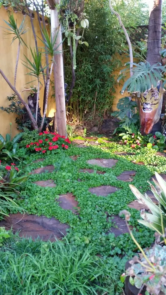 Local landscape installation in Oxnard, CA - Green Max Landscape