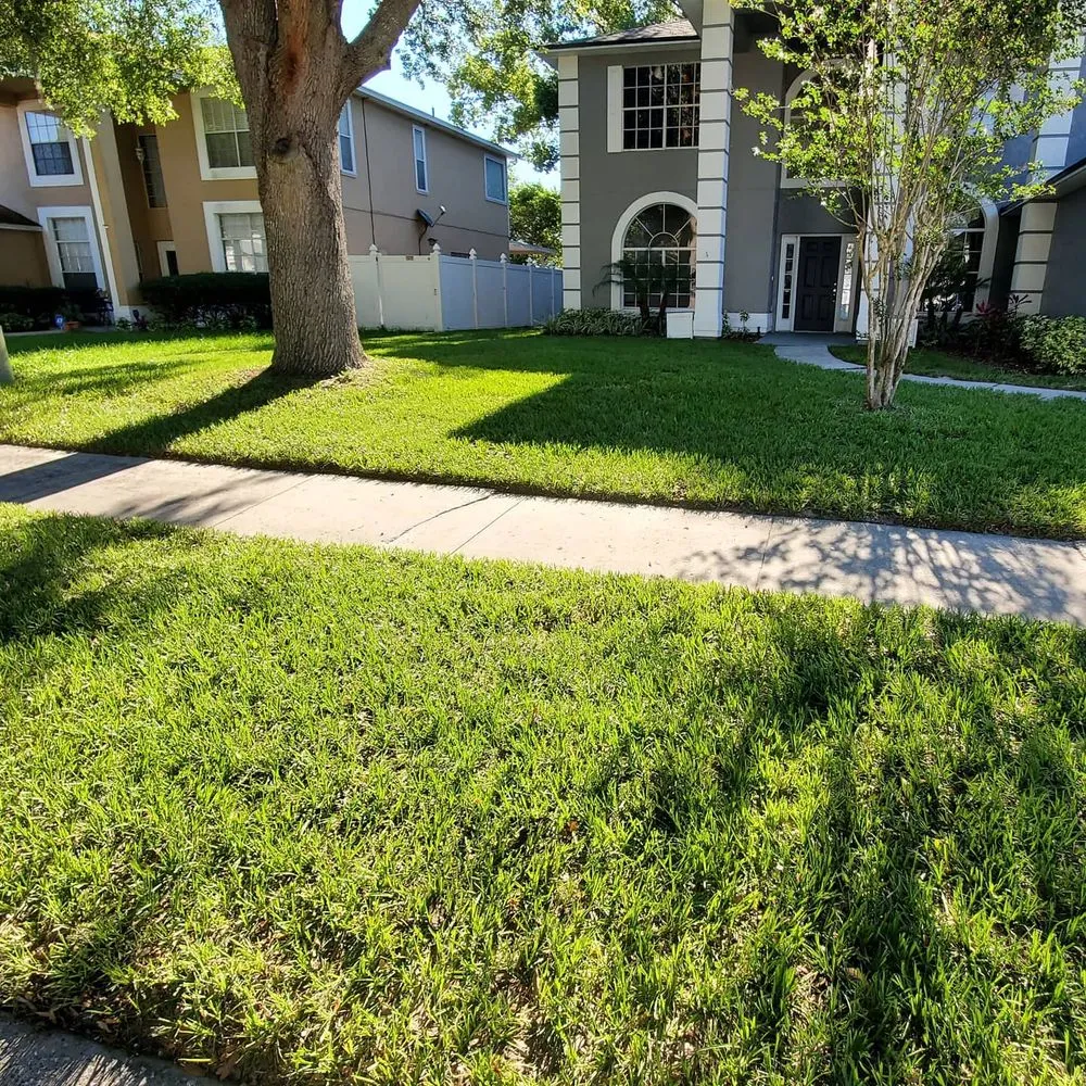 Expert residential landscaping in Casselberry, FL by Green Me Up Scotty