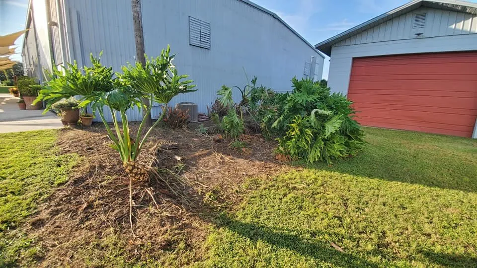 Affordable lawn mowing service for homes across Casselberry, FL - Green Me Up Scotty