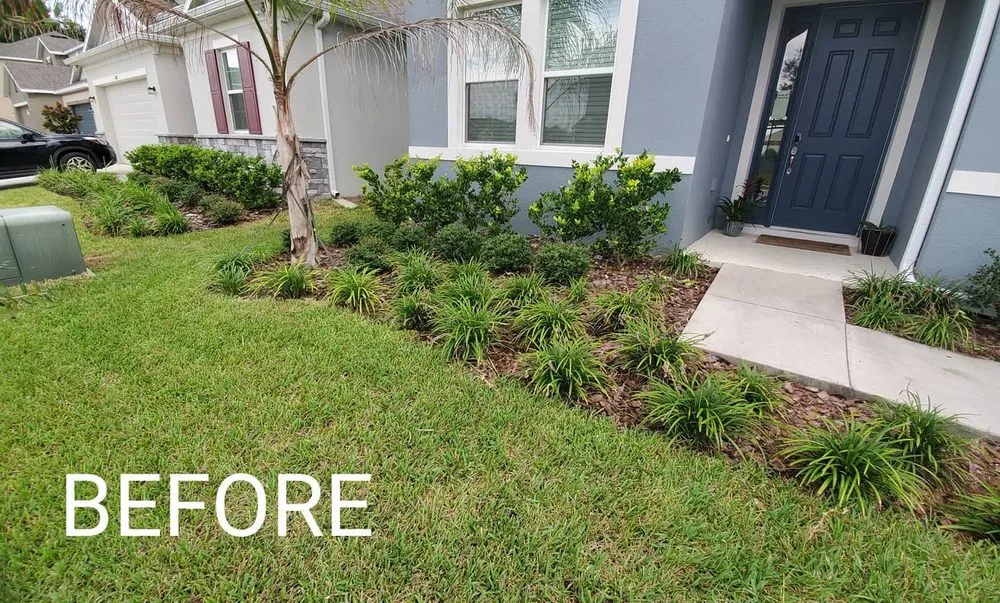 Professional lawn care service experts serving Casselberry, FL - Green Me Up Scotty