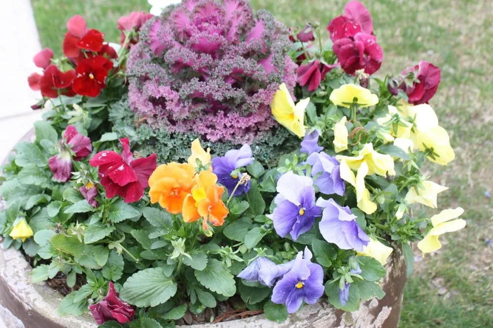 Affordable garden landscaping experts serving Lewisville, TX - Green Meadow Landscaping