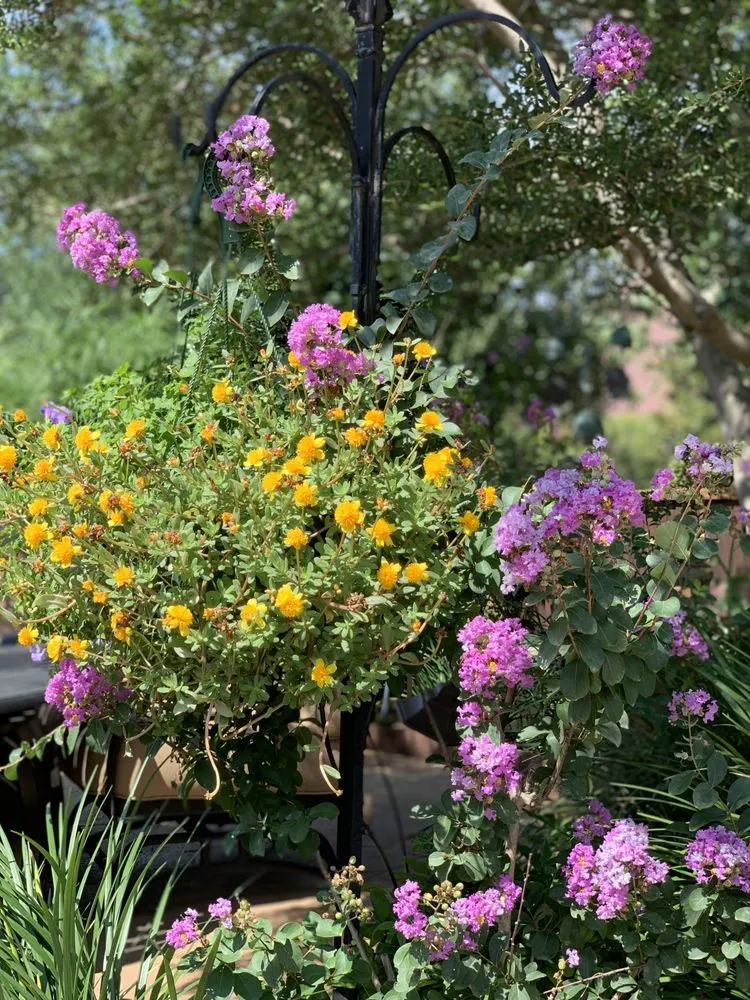 Professional landscape design in Lewisville, TX - Green Meadow Landscaping