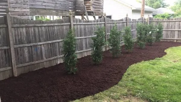 Top-rated landscaping services for year-round maintenance across Upper Arlington, OH - Green Meadow Lawn Care & Handyman Services