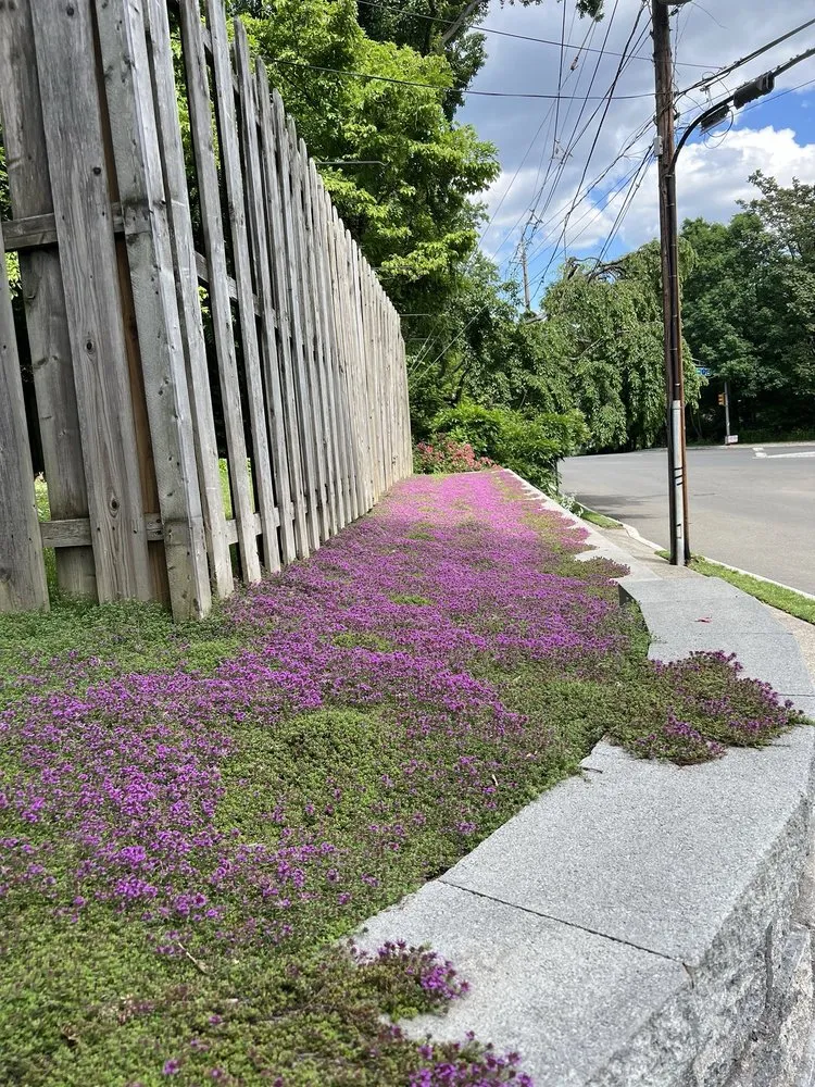 Affordable outdoor landscaping for beautiful yards in Oakland, NJ by Green Meadows Landscape Contractors