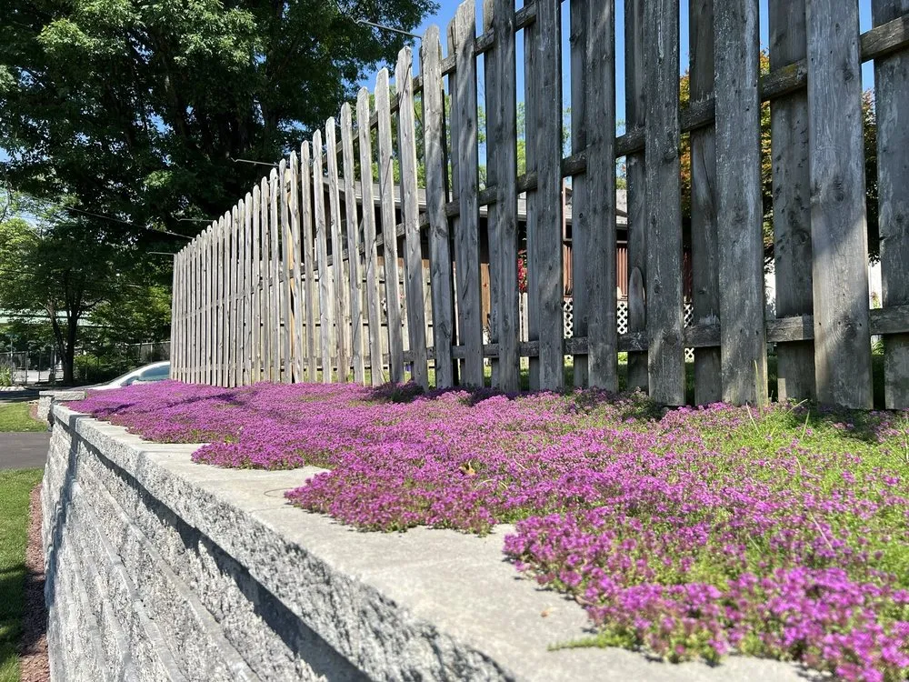 Professional yard maintenance in Oakland, NJ - Green Meadows Landscape Contractors