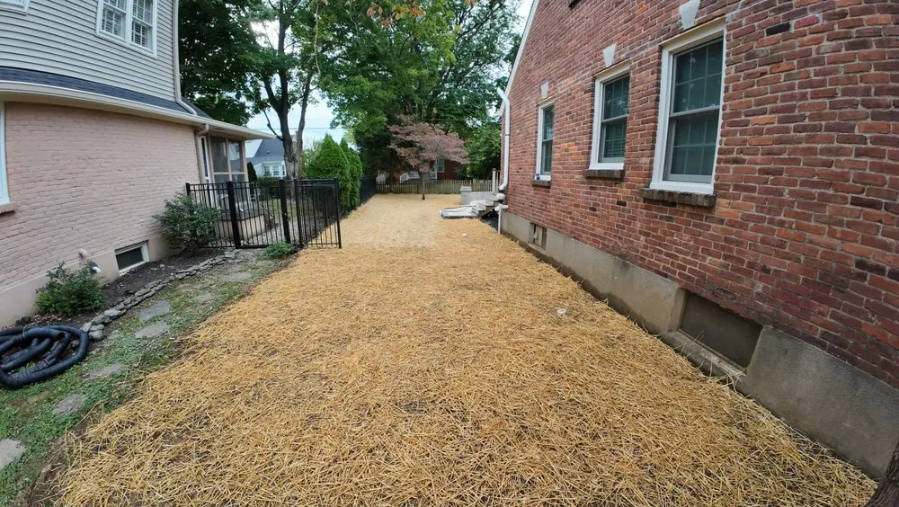 Top-rated yard cleanup service experts serving Louisville, KY - Green Meadows Landscaping