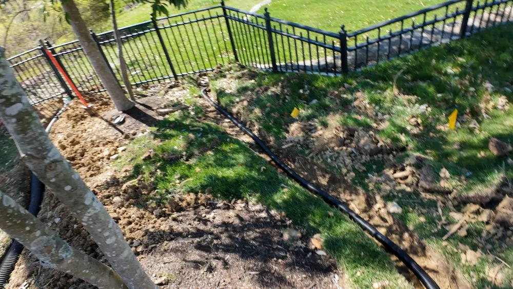 Affordable yard cleanup service in Louisville, KY by Green Meadows Landscaping