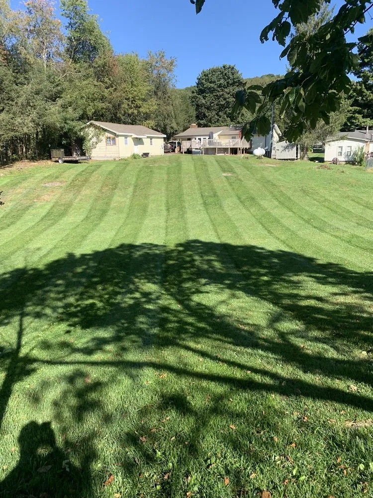 Expert residential landscaping for year-round maintenance across Odd, WV - Green Meadows Lawn Care