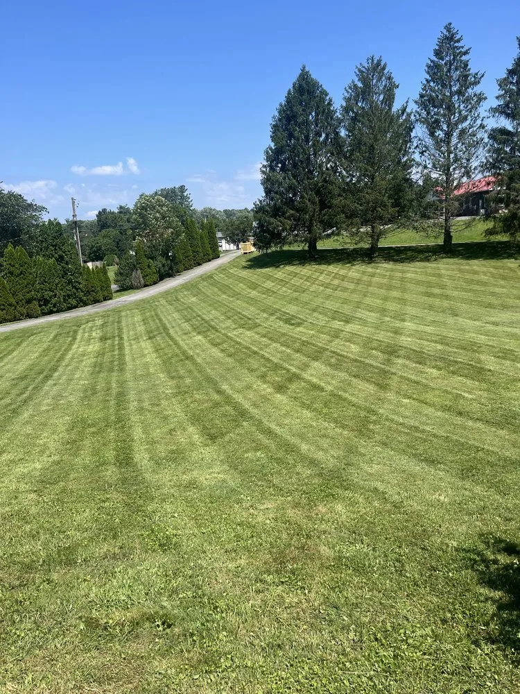 Trusted yard cleanup service experts serving Odd, WV - Green Meadows Lawn Care