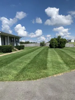 Green Meadows Lawn Care