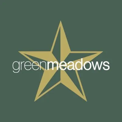 Expert yard cleanup service near you in Salisbury, NC by Green Meadows Lawncare
