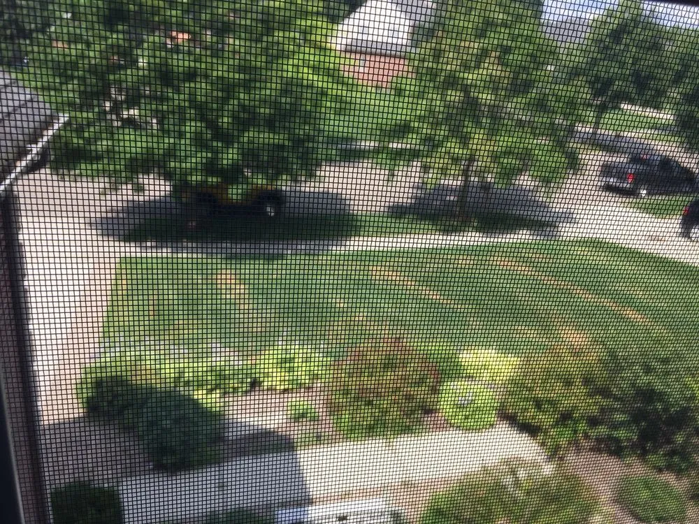 Expert residential landscaping experts serving Rochester Hills, MI - Green Meadows Lawnscape