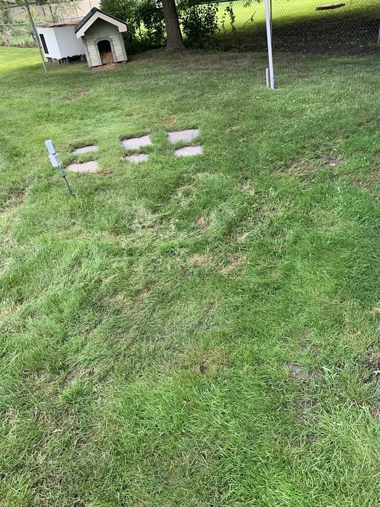 Top-rated landscape installation in Rochester Hills, MI by Green Meadows Lawnscape