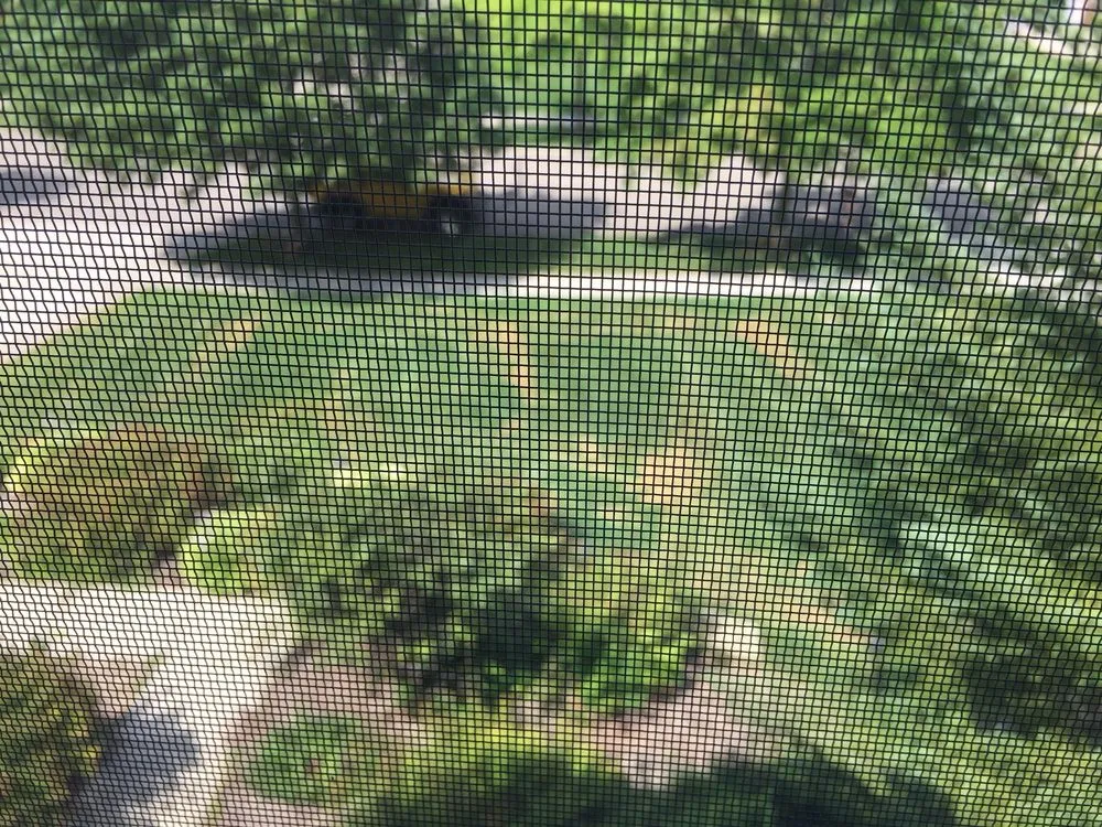 Local residential landscaping experts serving Rochester Hills, MI - Green Meadows Lawnscape