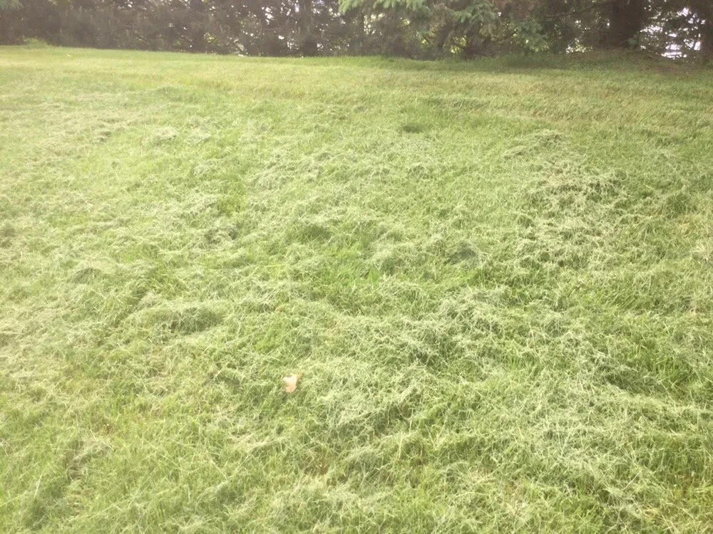 Local yard maintenance for year-round maintenance in Rochester Hills, MI by Green Meadows Lawnscape