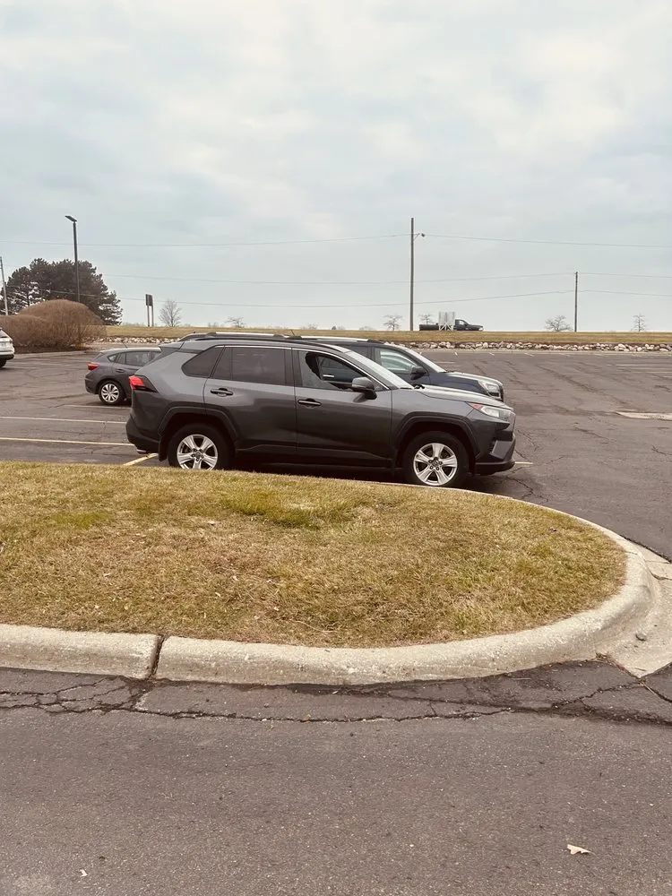 Custom yard maintenance in Rochester Hills, MI by Green Meadows Lawnscape