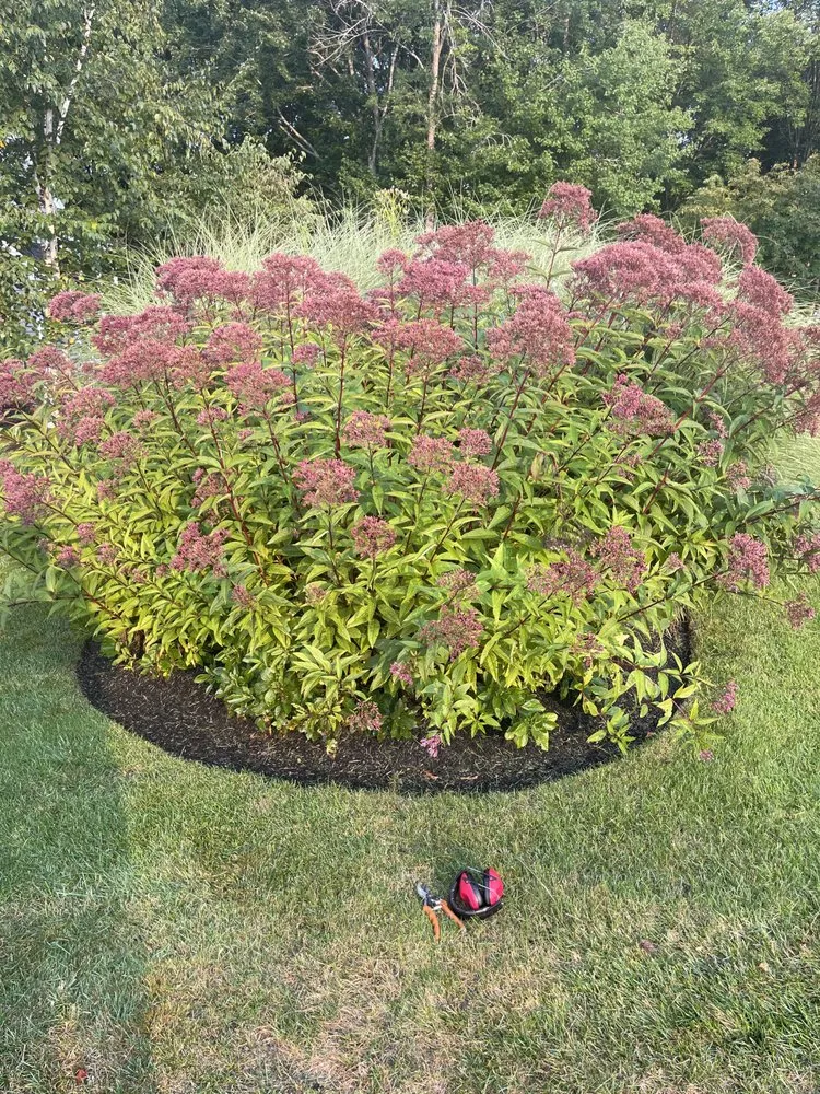 Trusted lawn mowing service in Portsmouth, NH by Green Mile Landscaping