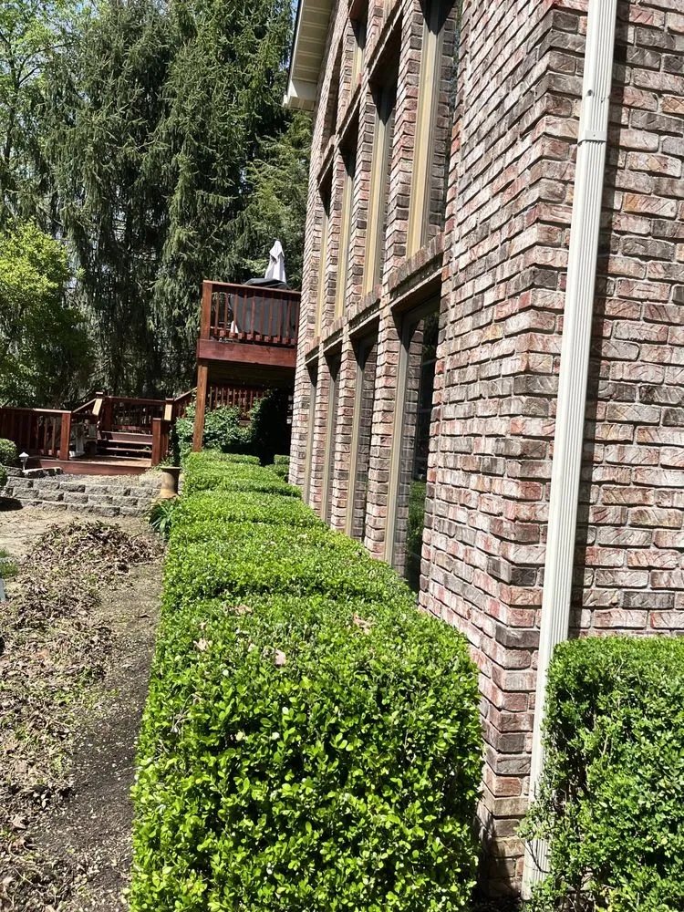 Expert landscape installation for beautiful yards in Bloomington, IN by Green Monster