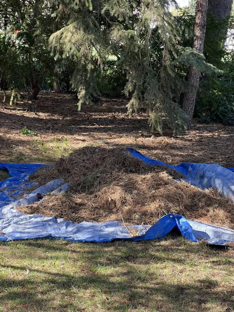 Top-rated landscape installation for outdoor upgrades in Boise, ID by Green Morning Landscaping