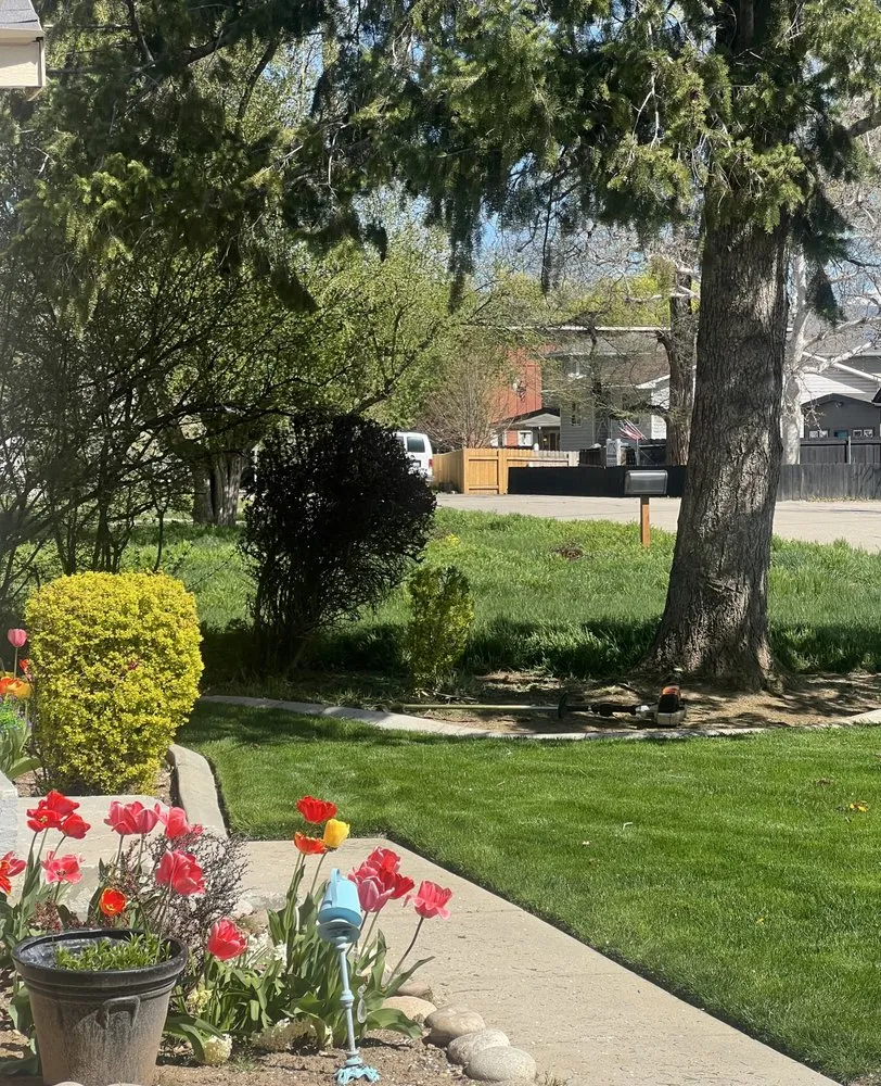 Affordable landscape design experts serving Boise, ID - Green Morning Landscaping